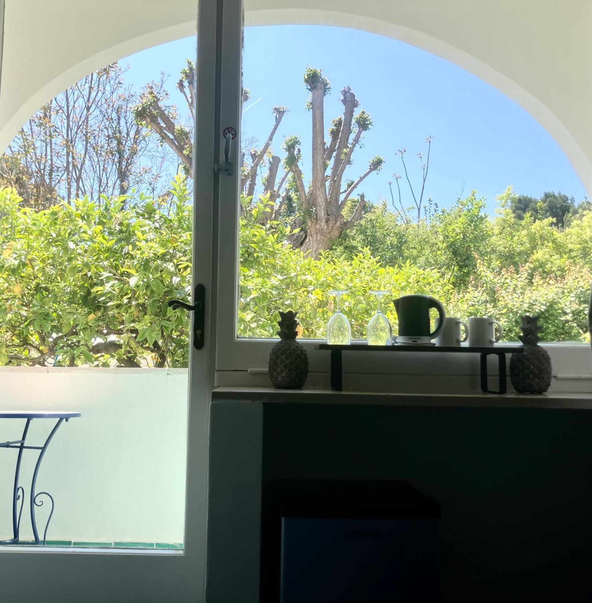 Villa Striano Boutique カプリ エクステリア 写真